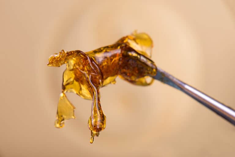 Close up detail of marijuana oil concentrate aka shatter dab on light background